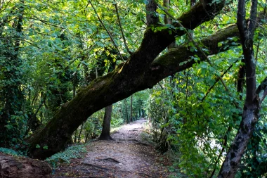 Parc de Mussonville de Begles (3).